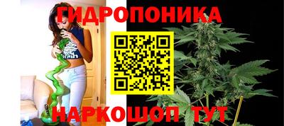 мдма Моздок