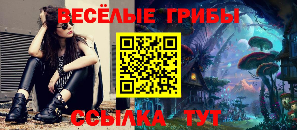 Псилоцибиновые грибы Psilocybe  Псилоцибиновые грибы мицелий  Вход с VPN  Дербент 