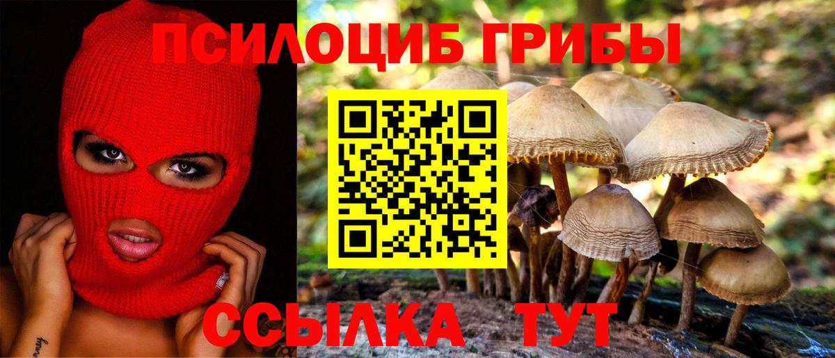 Галлюциногенные грибы Magic Shrooms Дербент